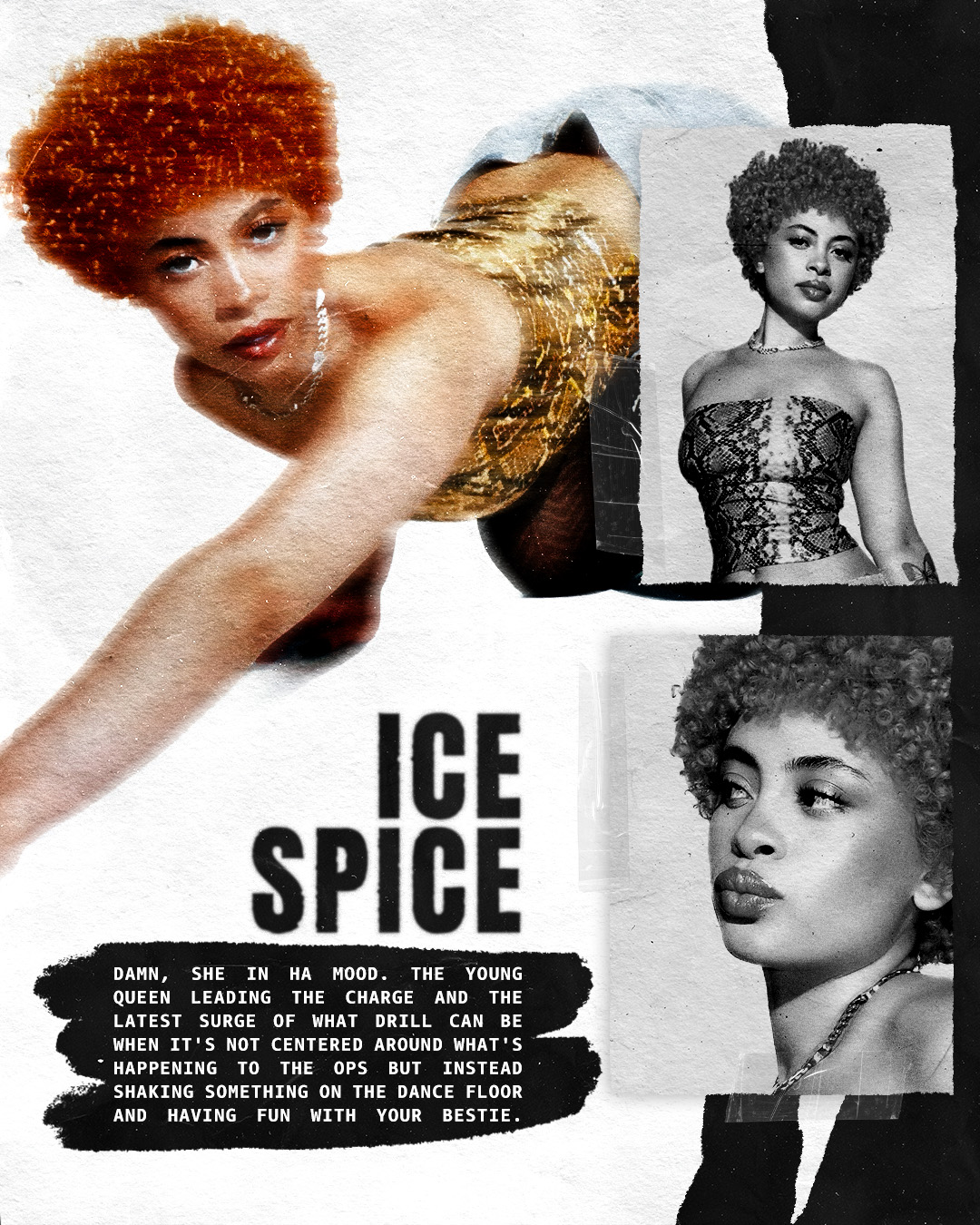 Ice-Spice
